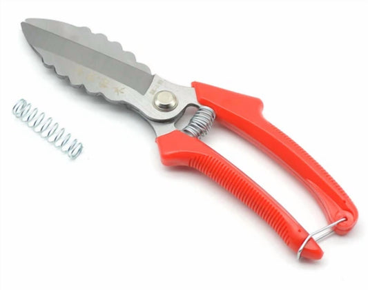 Household Stainless Steel Onion And Garlic Scissors Labor-Saving Garlic Scissors