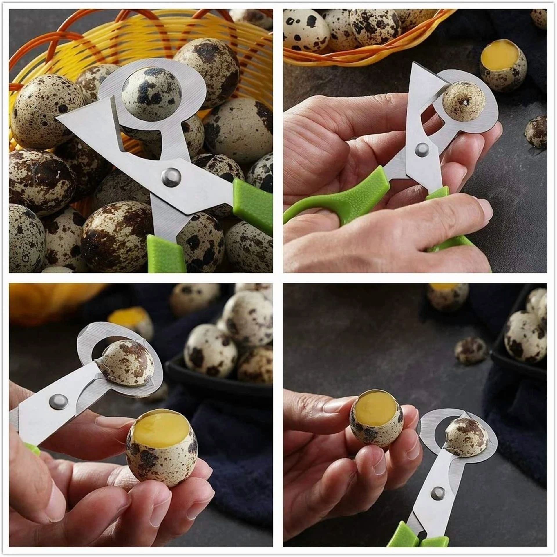 Stainless Steel Quail Egg Scissors (3 Pack) - Free N Fast Shipping - Usa Seller